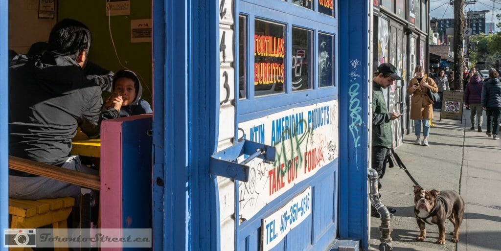 Boy and Dog photograph Toronto Street Photography
