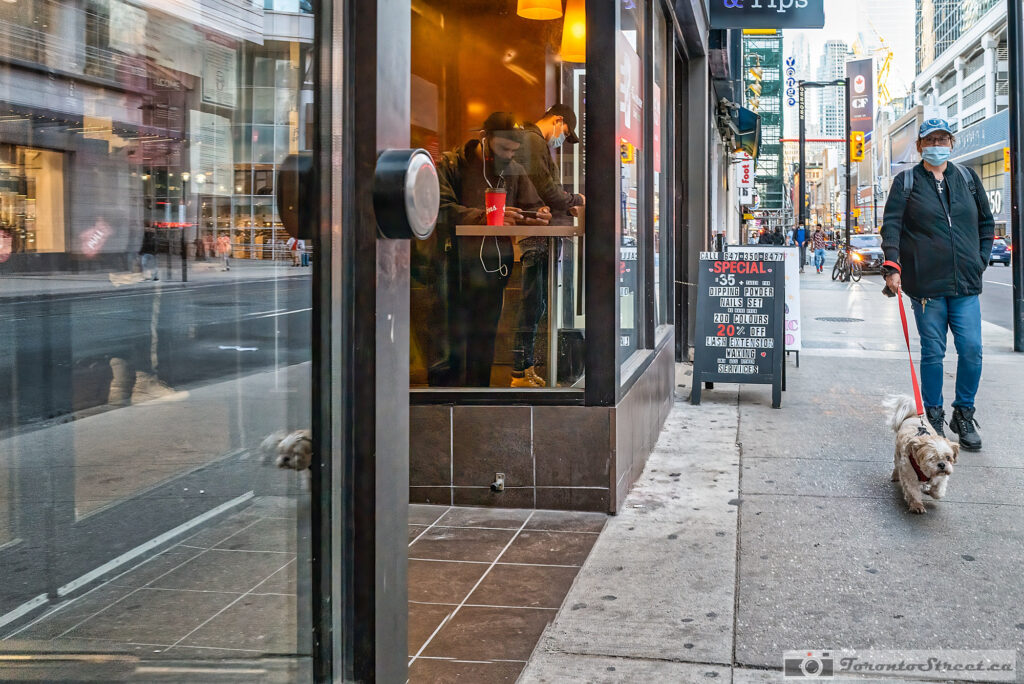 TorontoStreet—3