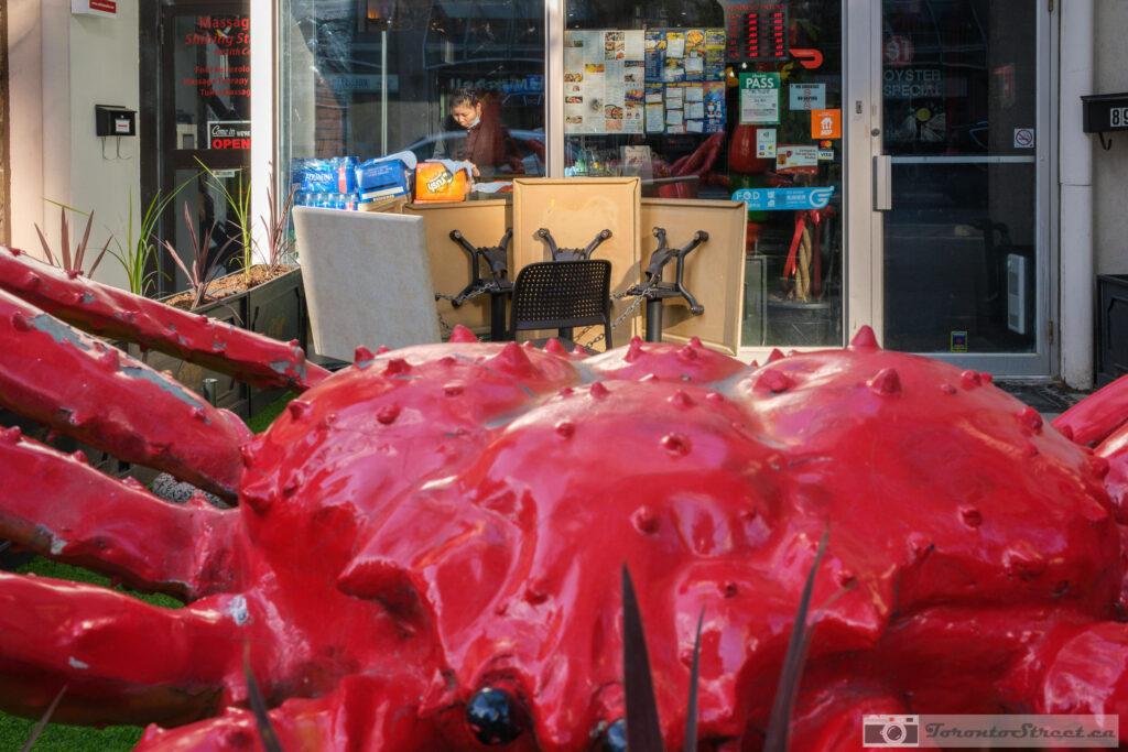 Giant red lobster sculpture on Toronto sidewalk  shot with Leica Q2