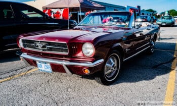 1965 Ford Mustang: The Plate Reads OUR 1965