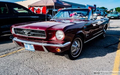1965 Ford Mustang: The Plate Reads OUR 1965